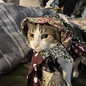 Meet your Posher, Emma